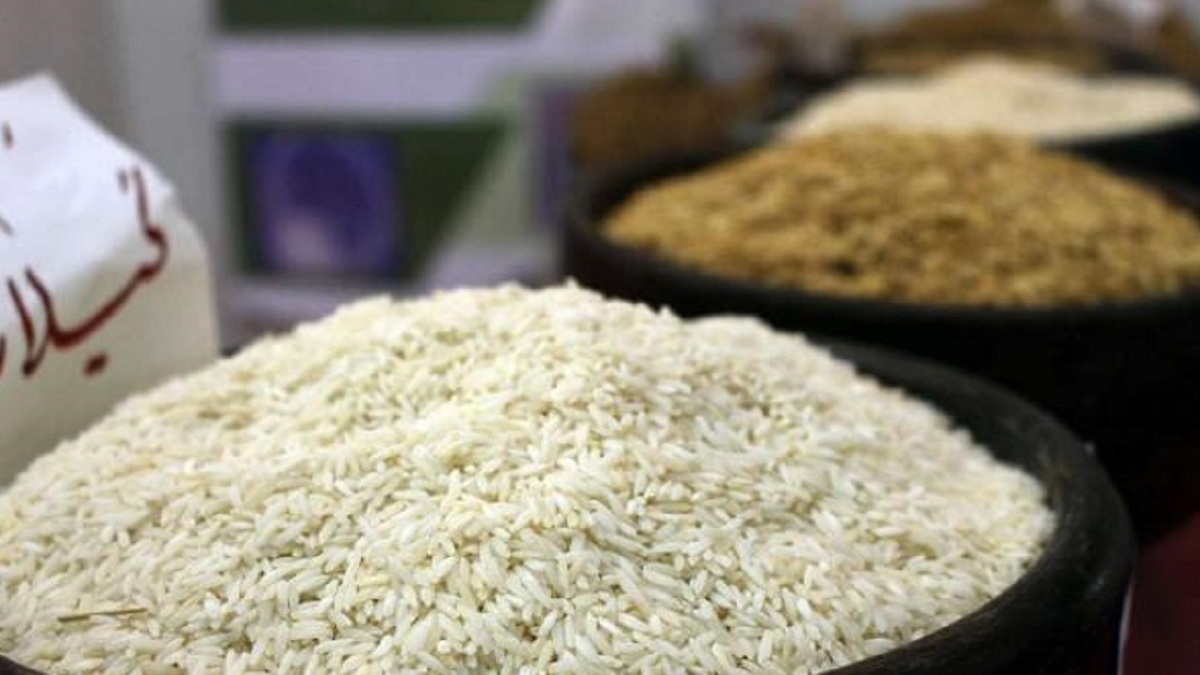 ممنوعیت ترخیص برنج در ایام برداشت