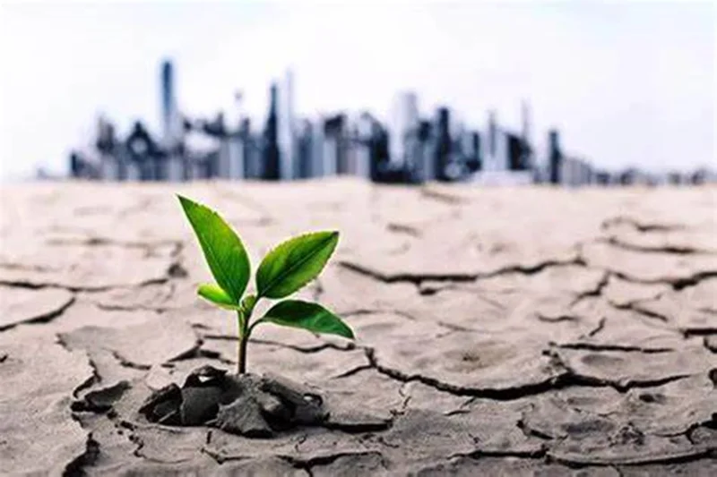 سایۀ کمآبی بر سر پایتخت