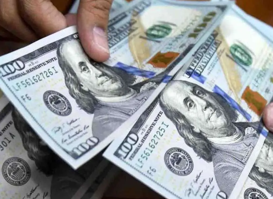 قیمت دلار امروز ۵ آذر به ۱۱۳ هزار و ۴۶۰ تومان رسید